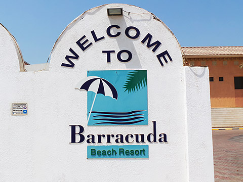 Eingang Barracuda
