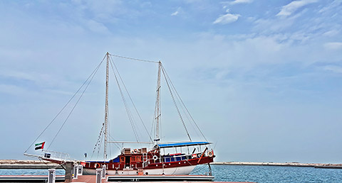 Sea Bird in Mina al Arab