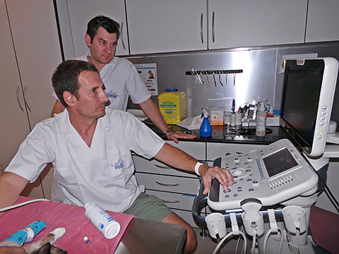 Dr. Dieter mit Dr. Danilo am Utraschallgerät