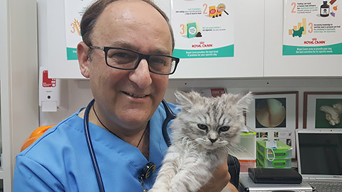 Dr. Omer mit Katze