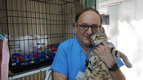 Dr. Omer mit Katzen