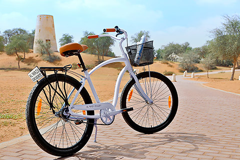 Al Wadi Bikes