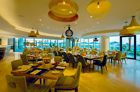 Vibe Restaurant Vibe Restaurant