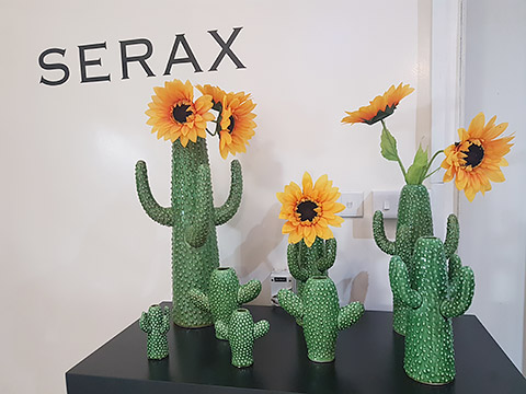 Kaktus-Vasen