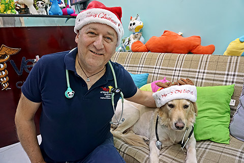 Merry Christmas Merry Christmas