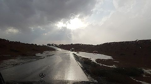 Wüste bei Regen
