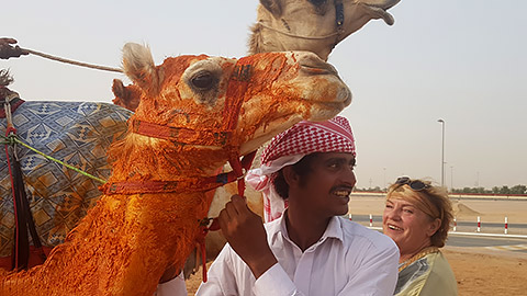 Kamel mit Safranöl