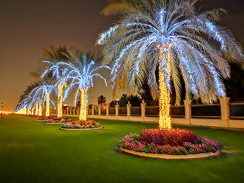 Avenue of Lights