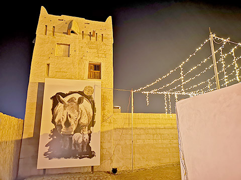 Kunst in Al Jazirah