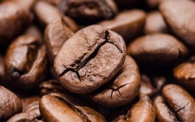 Kaffee-News von Julius Meinl