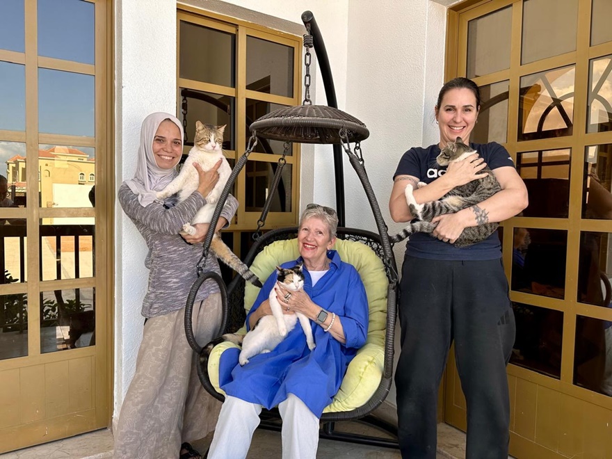 Besuch Cats Palace