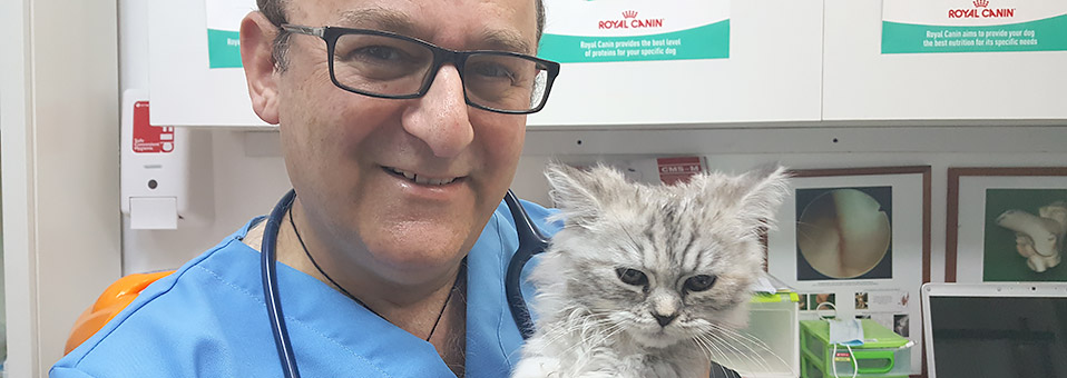 Zahnpflegeangebot für Hund und Katz