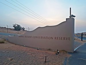 Dubai Desert Conservation Reserve