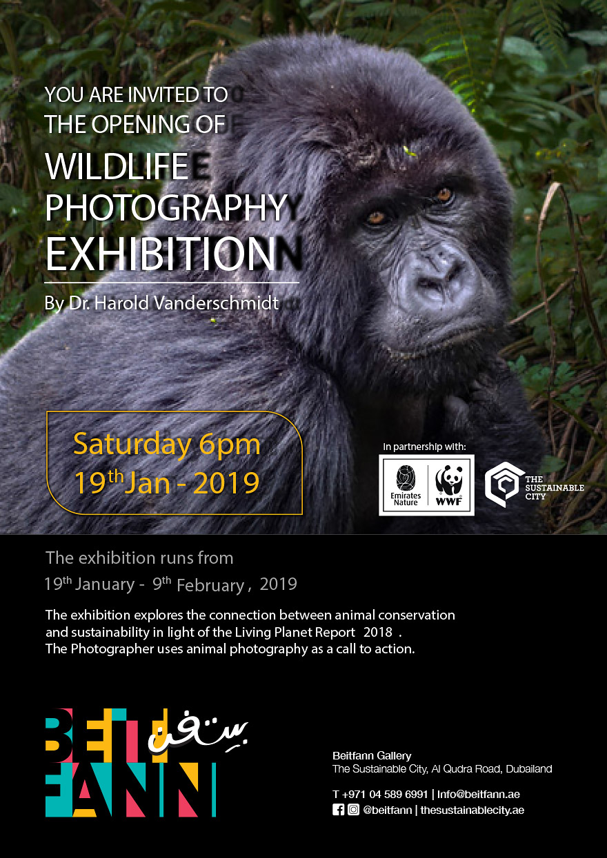 Wildlife Photography Exhibition | Expat Aktuell