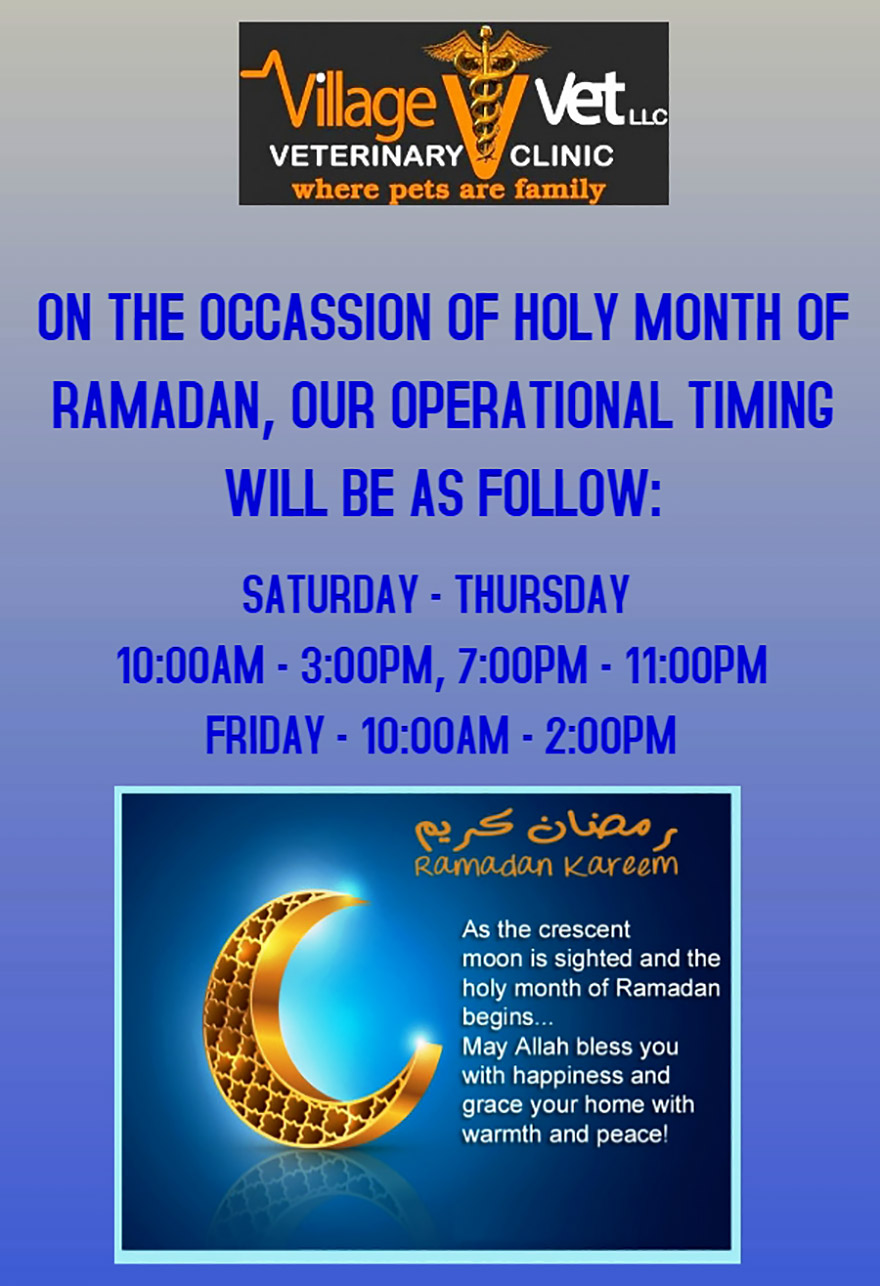 Öffnungszeiten im Ramadan | Expat Aktuell