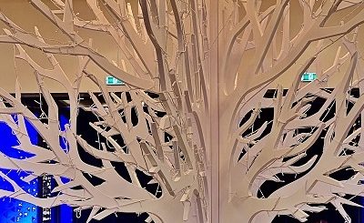 Roter Teppich für die RAK Business Awards 2019