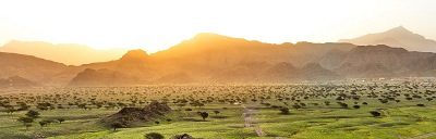 Enormes Wachstum in Ras Al Khaimah