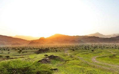 Unterstützung für die Tourismusindustrie