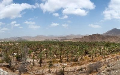 Back to Ras Al Khaimah