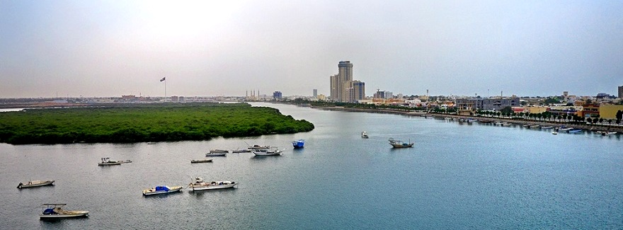 Dual-Lizenz-Struktur