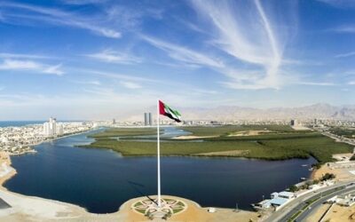 Digitale Unterschrift über den UAE-Pass