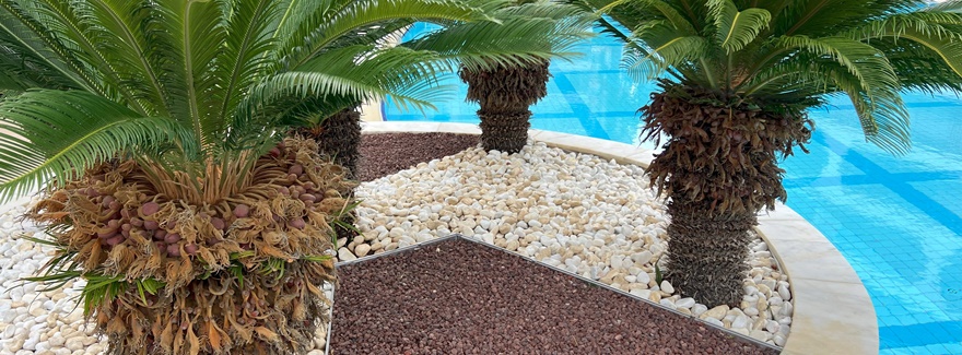 Neu in den VAE – Spezialist für Premium-Kantenlösungen