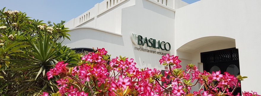 Summer Specials @ The Cove Rotana