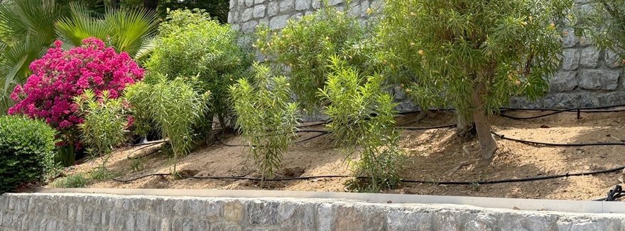 QualityEdging.com verstärkt Präsenz in den VAE