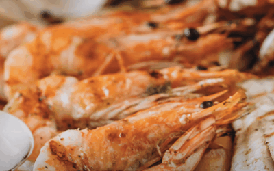 Sommer – Menu @ Basilico