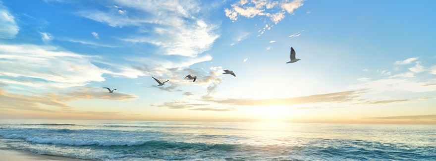 Momente zum Aufatmen – wie in der Natur