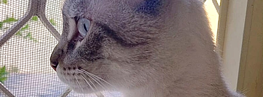 Lasst uns nicht allein