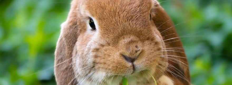 News aus dem Cove Rotana