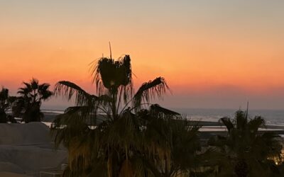 Update – The Cove Rotana